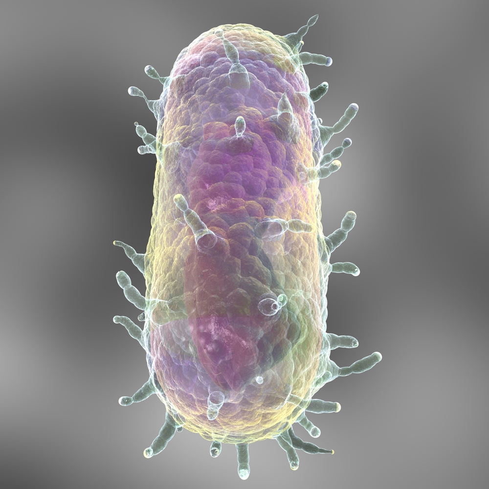 Better Know a Microbe: Deinococcus
