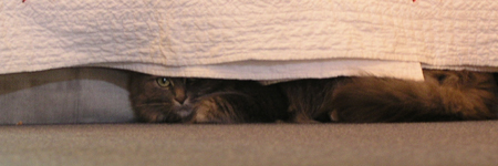 hidden.jpg