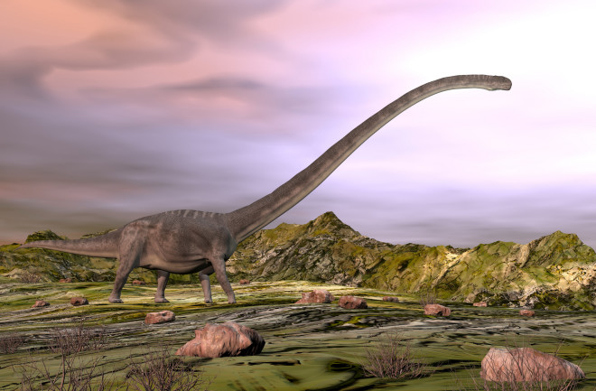Omeisaurus walking in the desert - 3D render - stock photo