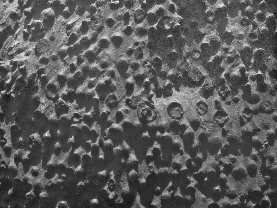 Martian-spherules.jpg