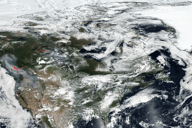 Canadian Pyrocumulonimbus Event - NASA