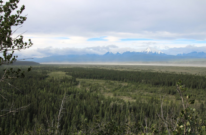 A new review of evidence for the peopling of the Americas suggests multiple routes, including coastal and overland, such as through this Alaskan landscape, were likely. (Credit: Ben A. Potter)