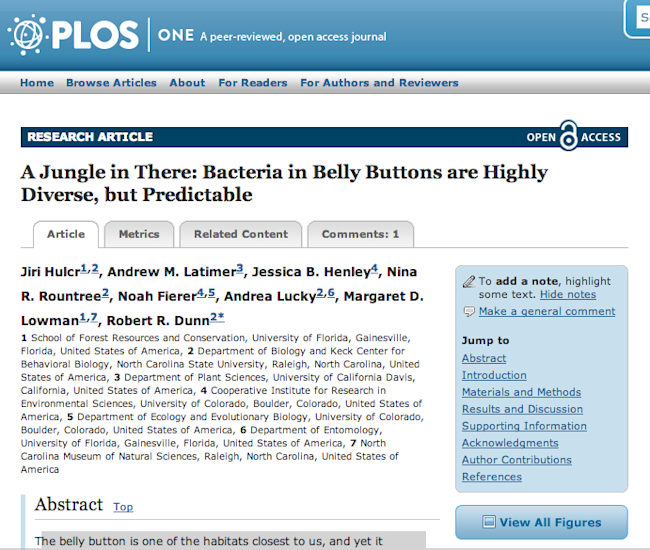 bacteria.png