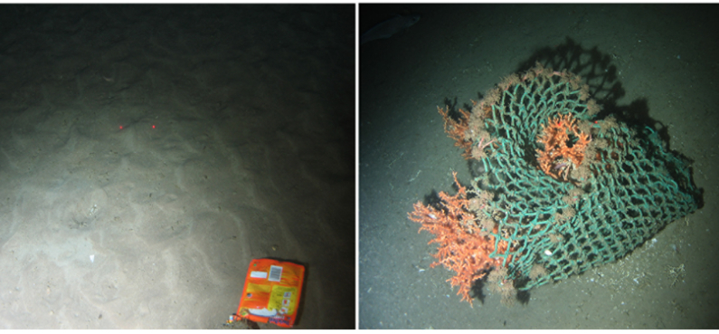 ocean-trash.jpg
