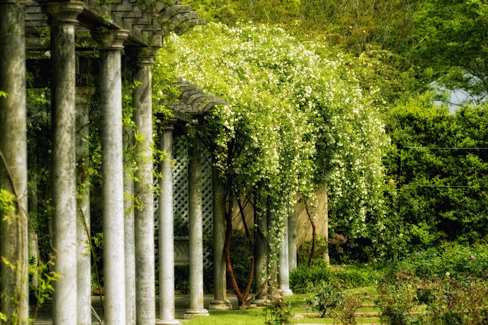 ruins of the hanging gardens of babylon