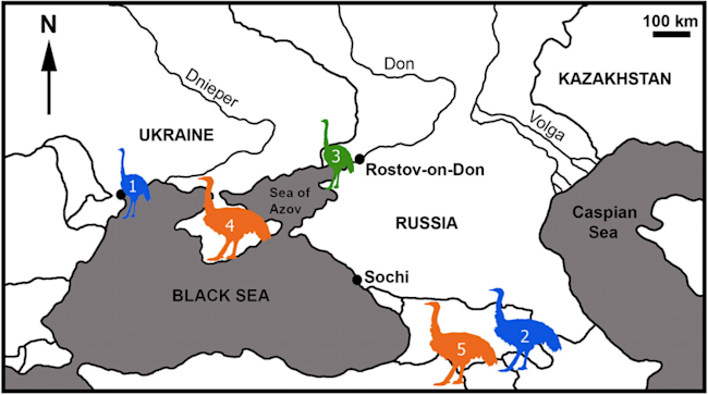 Big-Bird-Map-1024x572