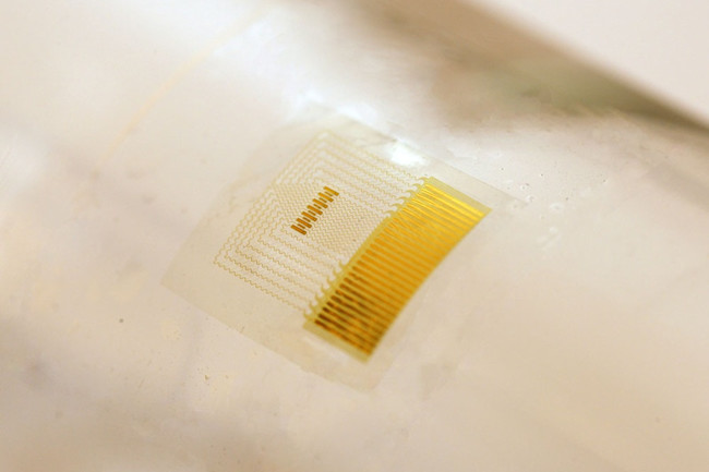 Flexible Sensor