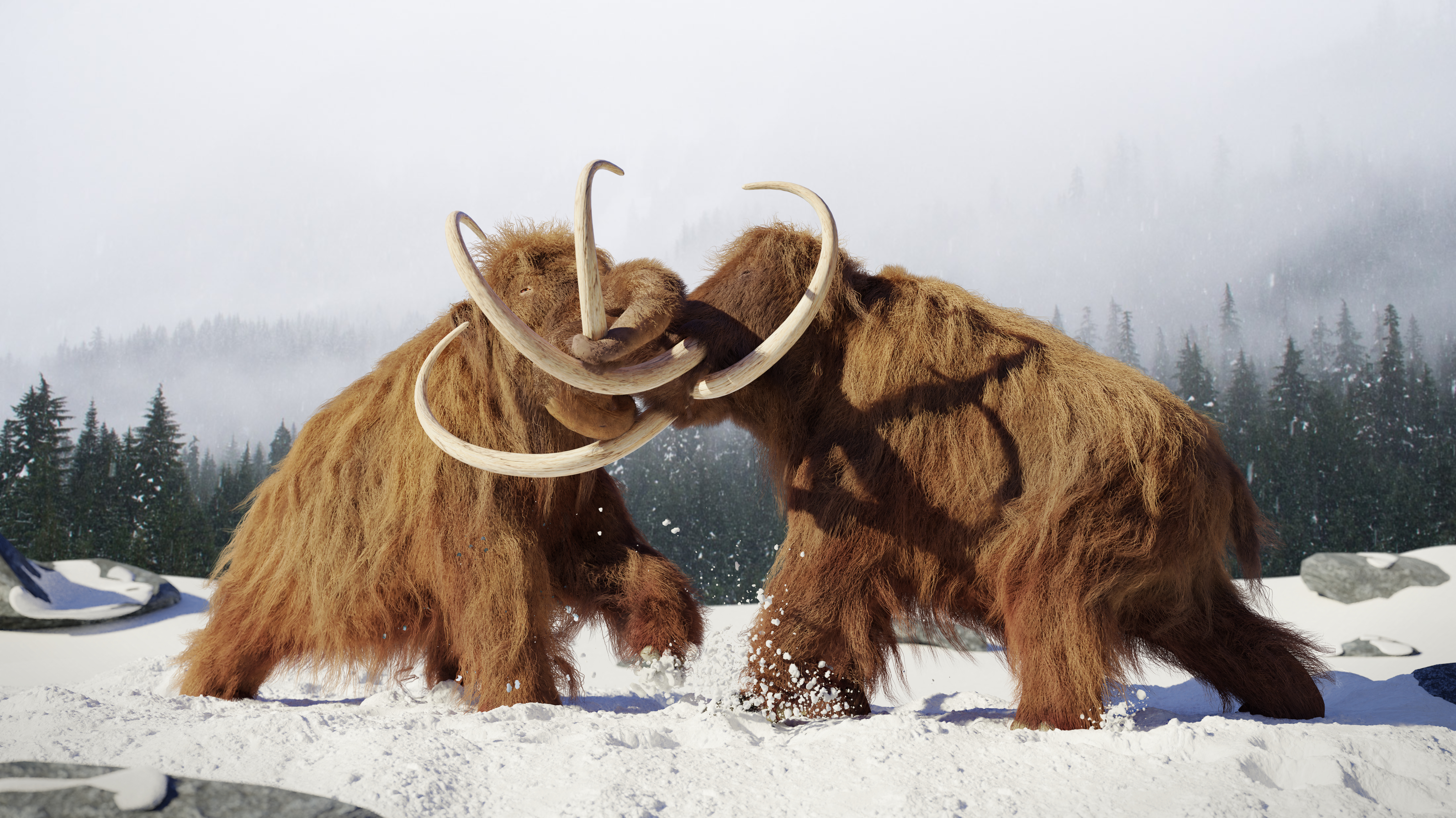 Alive woolly mammoth found ‘The Motherland