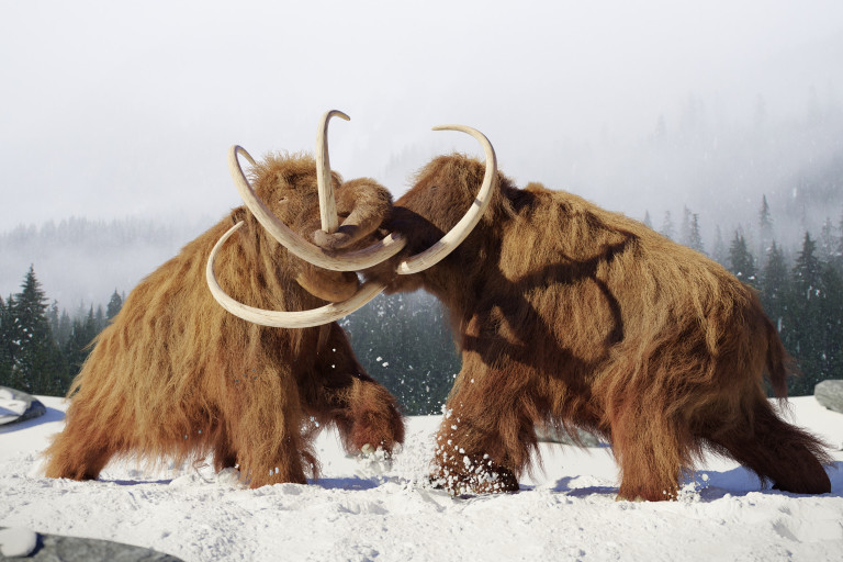 Can We Bring Back Mammoths From Extinction? Probably Not — Here’s Why