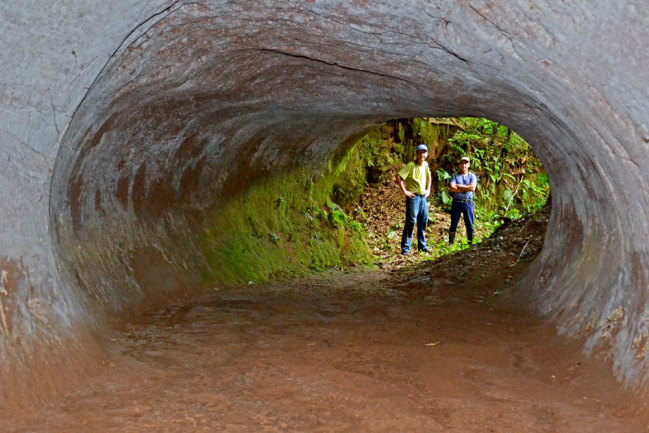 Túnel de Jogo Ludi Selva