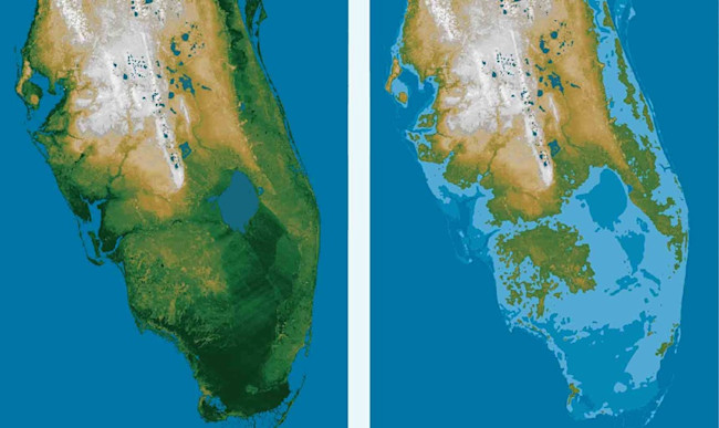 florida-map-low-elevations