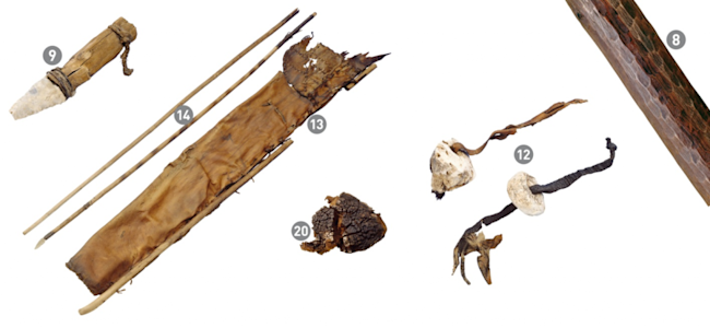 Picture2-1024x472.png