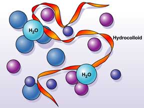 hydrocolloid-1