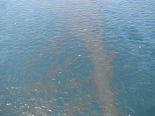 DeepwaterHorizon2.jpg