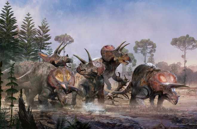A heard of triceratops walking through a Cretaceous swamp. 