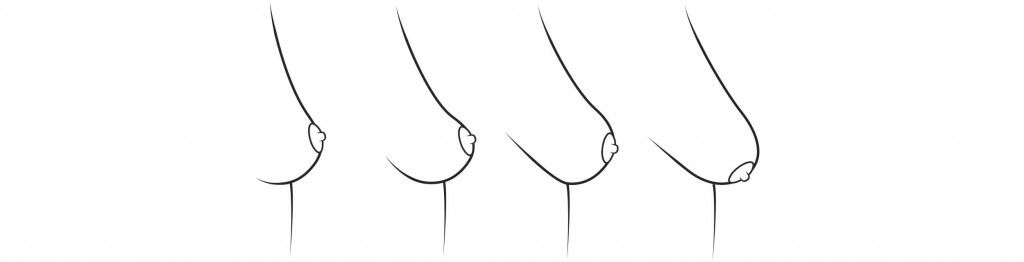 Do men prefer boobs or butt