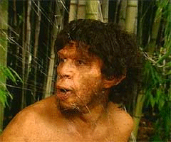erectus.gif