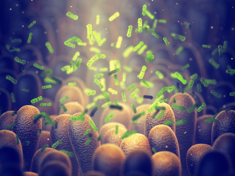 Why Bacteria are the New Disease Fighters