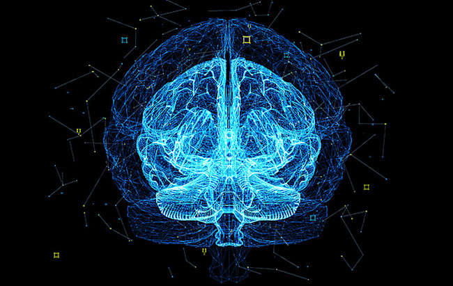 PTSD brain