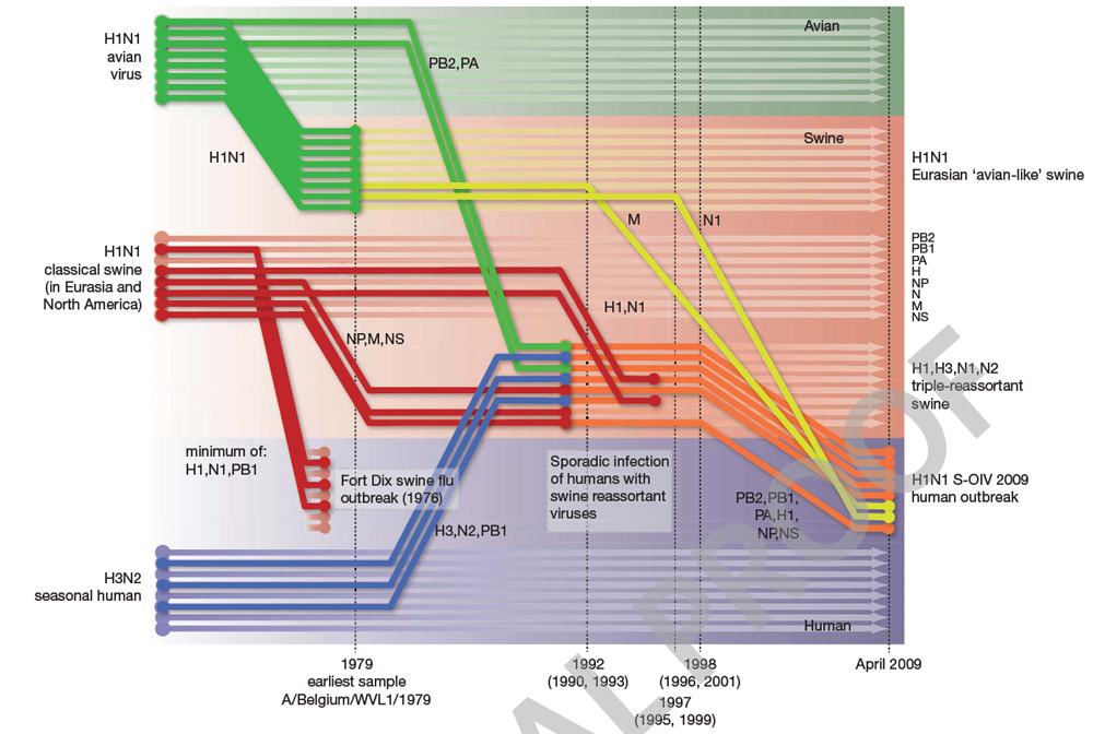 Flu Pandemic Chart