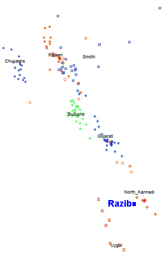 razdod.png