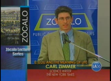 zocalo-2nd.jpg