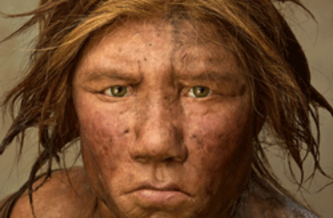 neanderthal-615.png