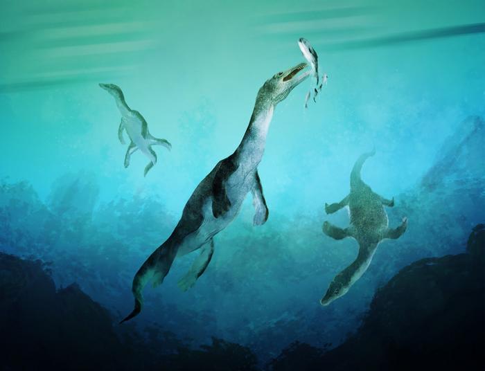 A 240-Million-Year-Old Aquatic Reptile Fossil Challenges When Reptiles Ruled the Sea