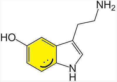 Serotonin