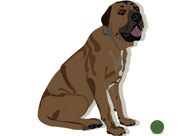 Dog Art Pet - Shutterstock