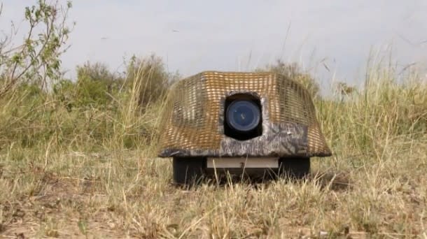beetlecam1-610x342.jpg