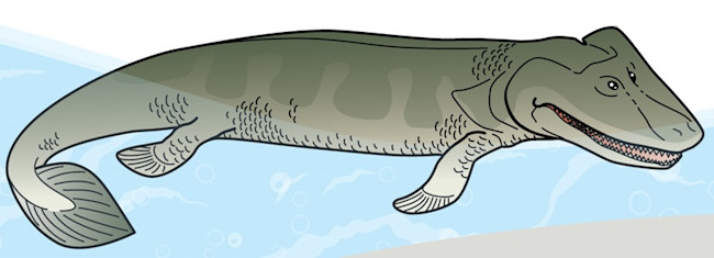 Tiktaalik
