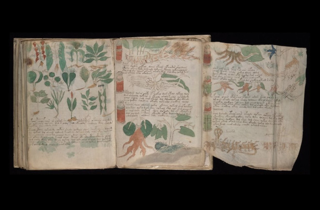A foldout page from the pharmaceutical section of the manuscript. 