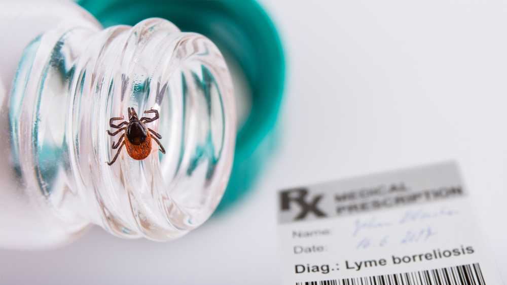 The Blurred Line Between Lyme Disease and Mental Illness