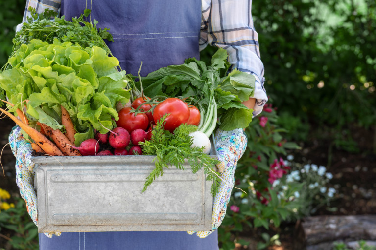Want to Start a Vegetable Garden? Here’s How, According to Science