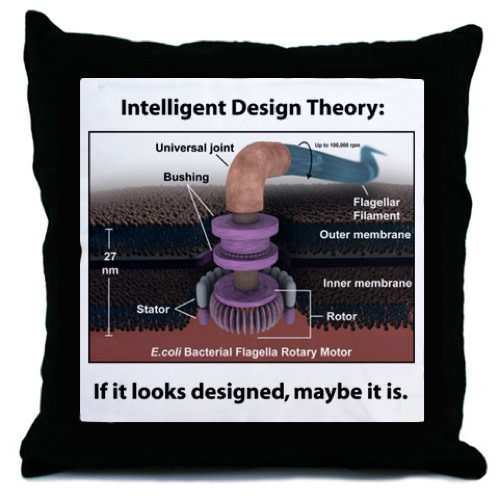 throw%20pillow.jpg