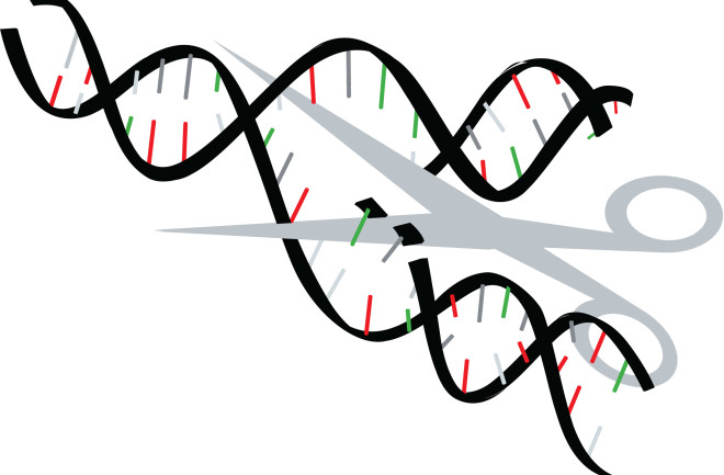 snip-DNA.jpg