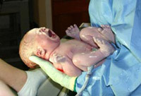 800px-humannewborn.jpg