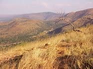 rustenburg_viewtn.jpg