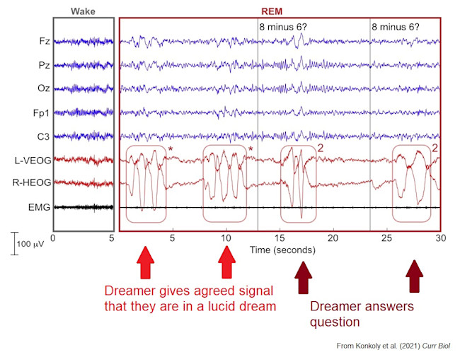 Communication with a lucid dream