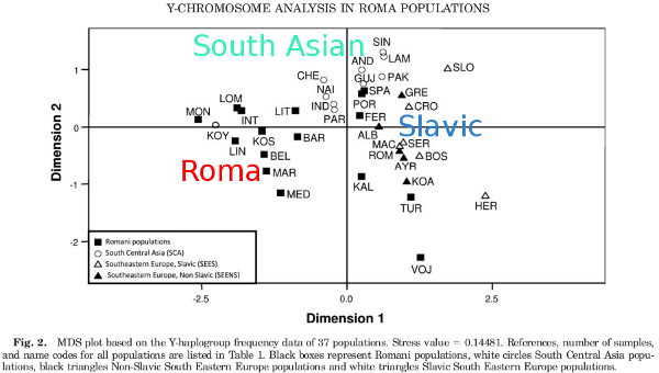 romaY.png