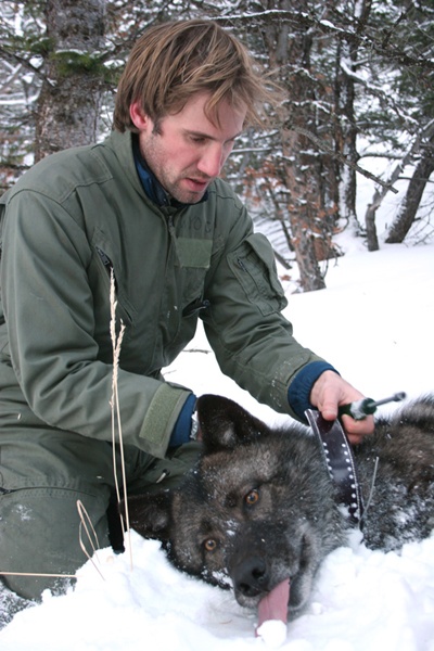 elk-4