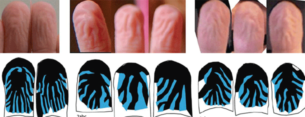 Pruney-fingers.gif