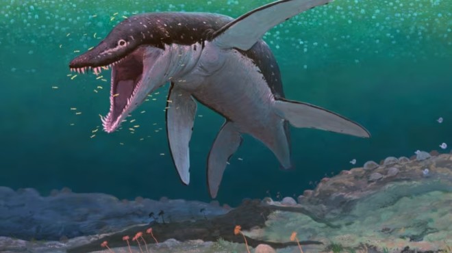 jurassic period sea creatures