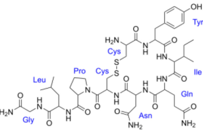 500px-Oxytocin.svg_-300x189.png