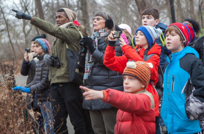 Camilla Cerea Christmas Bird Count