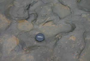 footprints2-300x205.jpg