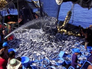 Fishing-300x225.jpg
