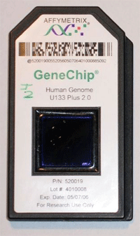 genechip.gif