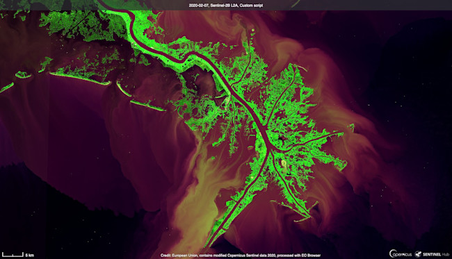 Mississippi River Delta